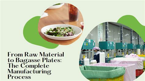 From Raw Material to Bagasse Plates: The .